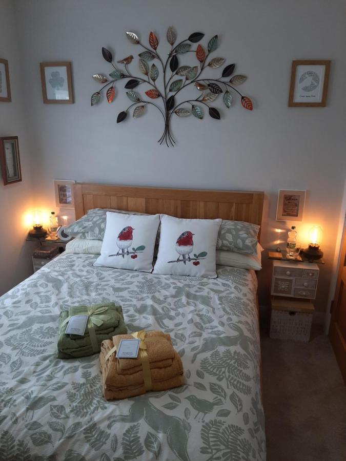 Number 14 Bed & Breakfast Downpatrick Dış mekan fotoğraf